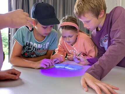 PXL_20250731_081613983