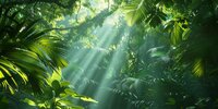 Serene jungle scene with sunlight filtering through lush greenery, creating a peaceful and vibrant atmosphere. Image-20068
