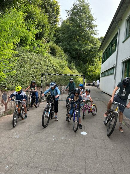 WhatsApp_Image_2025-08-28_at_10