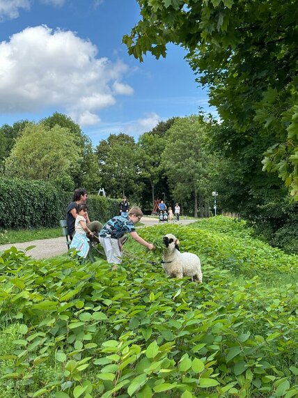 WhatsApp_Image_2025-08-28_at_10