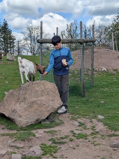 Wildpark1