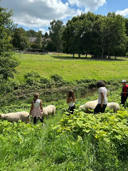 WhatsApp_Image_2025-08-28_at_10