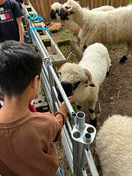 WhatsApp_Image_2025-08-28_at_10