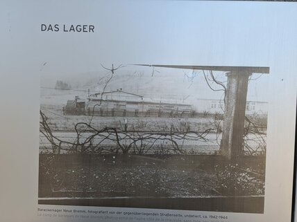 WhatsApp_Image_2026-03-30_at_12