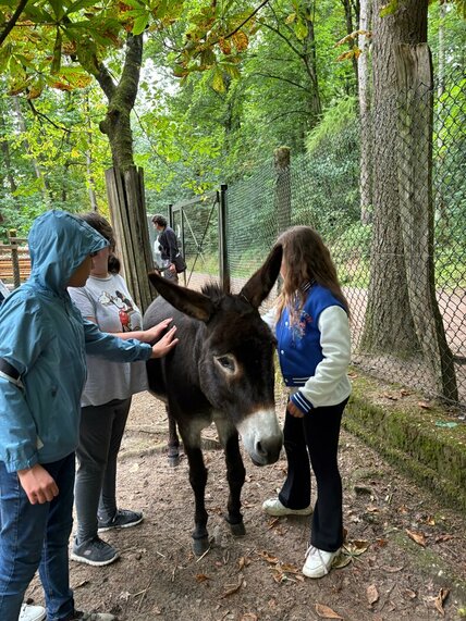 WhatsApp_Image_2025-08-28_at_10