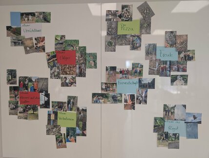 PXL_20250805_131228889