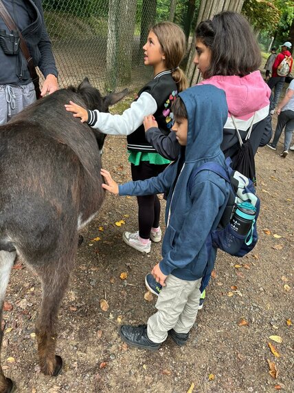 WhatsApp_Image_2025-08-28_at_10