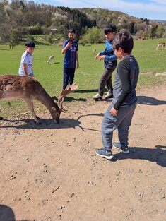 Wildpark3