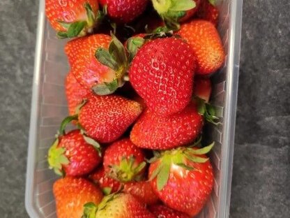 Erdbeeren_1