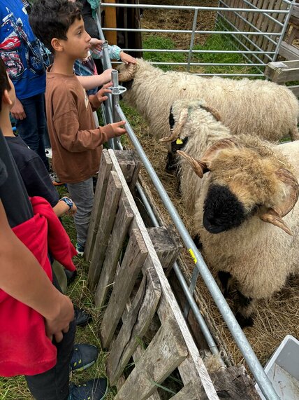 WhatsApp_Image_2025-08-28_at_10