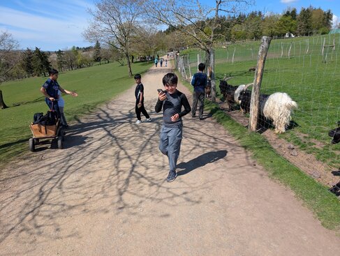 Wildpark4