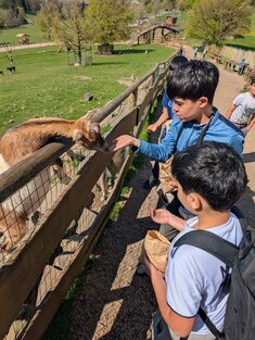 1704_Wildpark