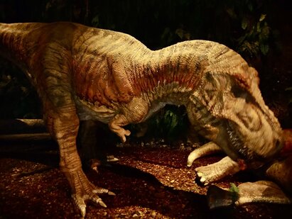 T-Rex_Park
