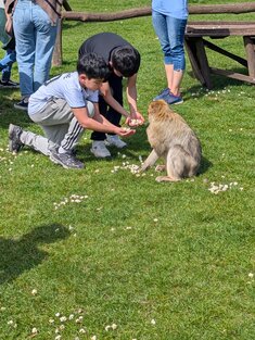 Wildpark5